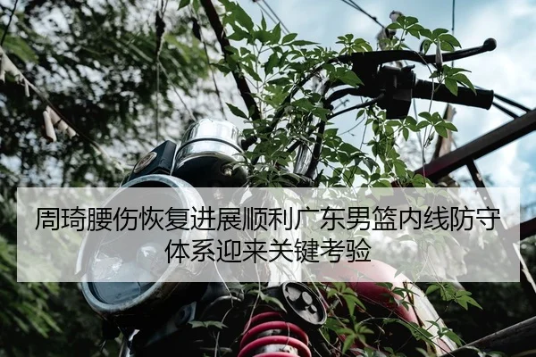周琦腰伤恢复进展顺利广东男篮内线防守体系迎来关键考验