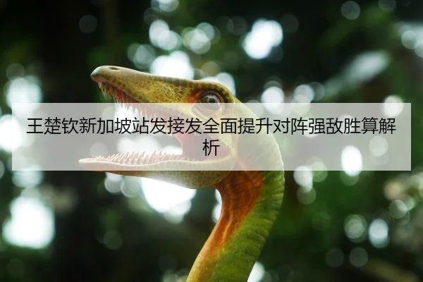 王楚钦新加坡站发接发全面提升对阵强敌胜算解析
