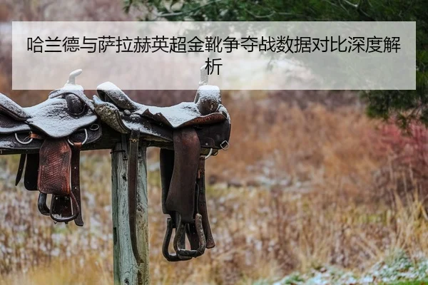 哈兰德与萨拉赫英超金靴争夺战数据对比深度解析